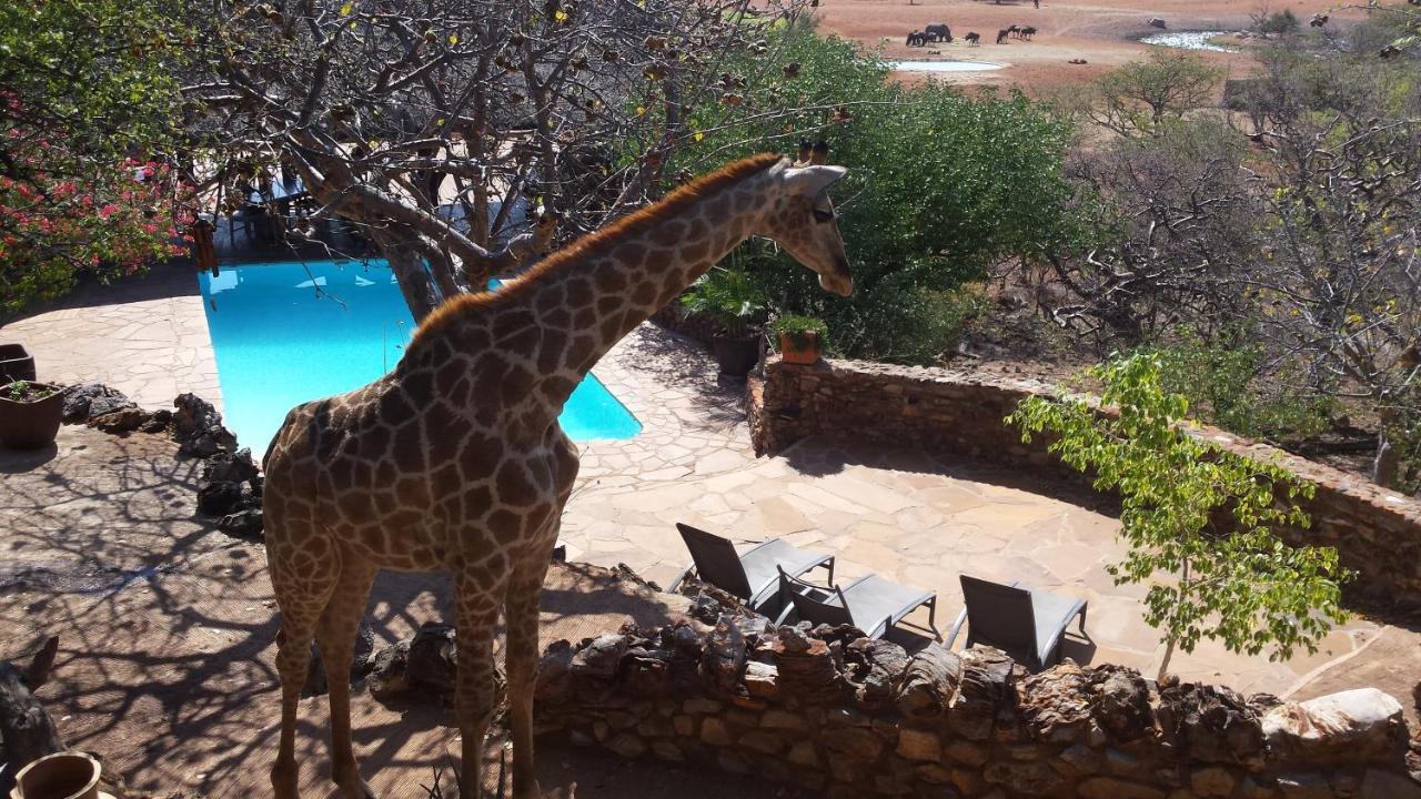 Okutala Etosha Lodge Outjo Eksteriør billede