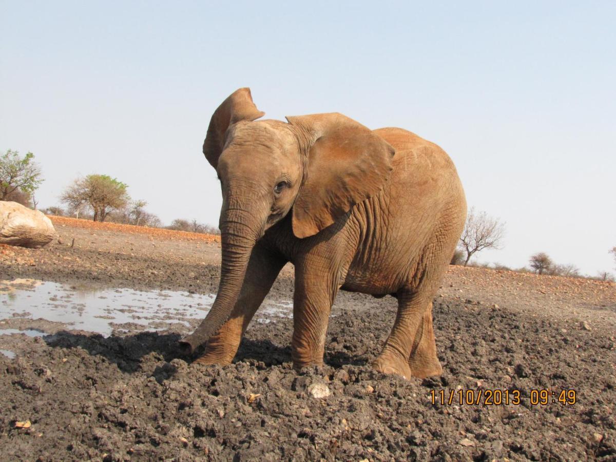 Okutala Etosha Lodge Outjo Eksteriør billede