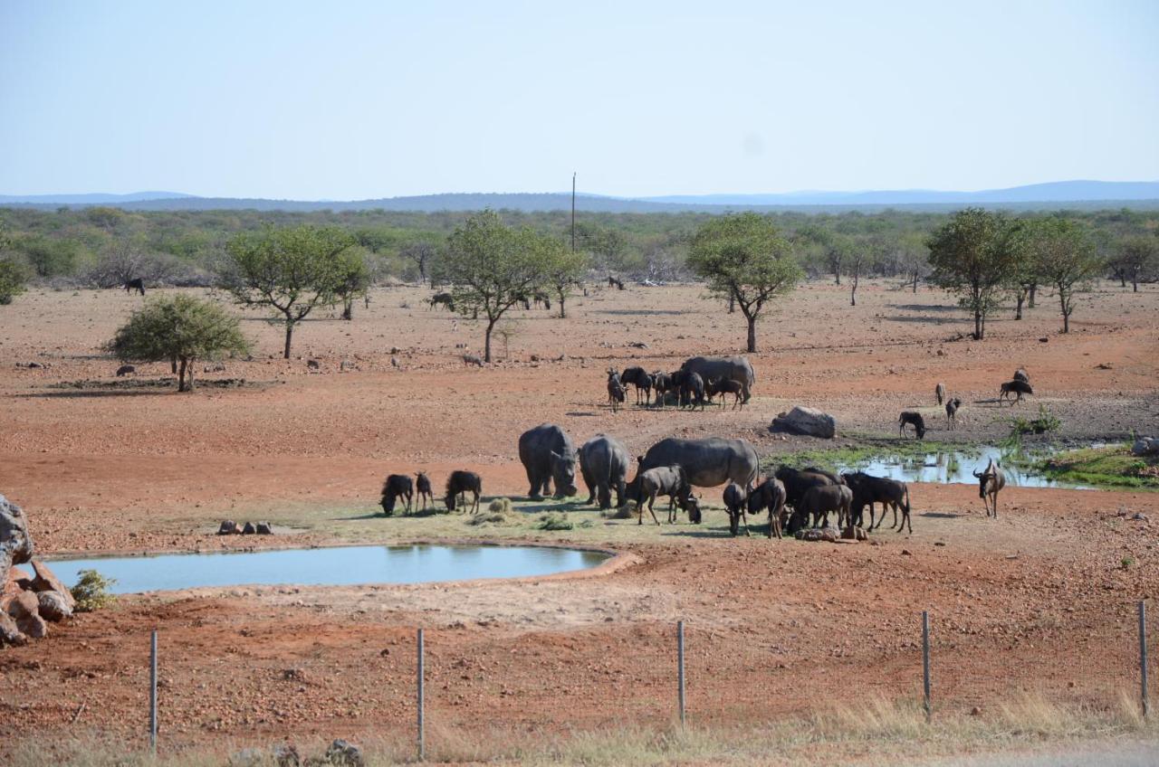 Okutala Etosha Lodge Outjo Eksteriør billede