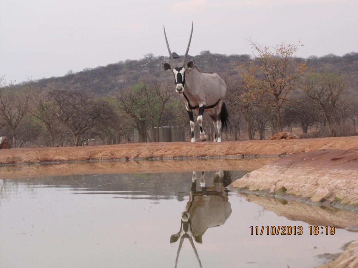Okutala Etosha Lodge Outjo Eksteriør billede